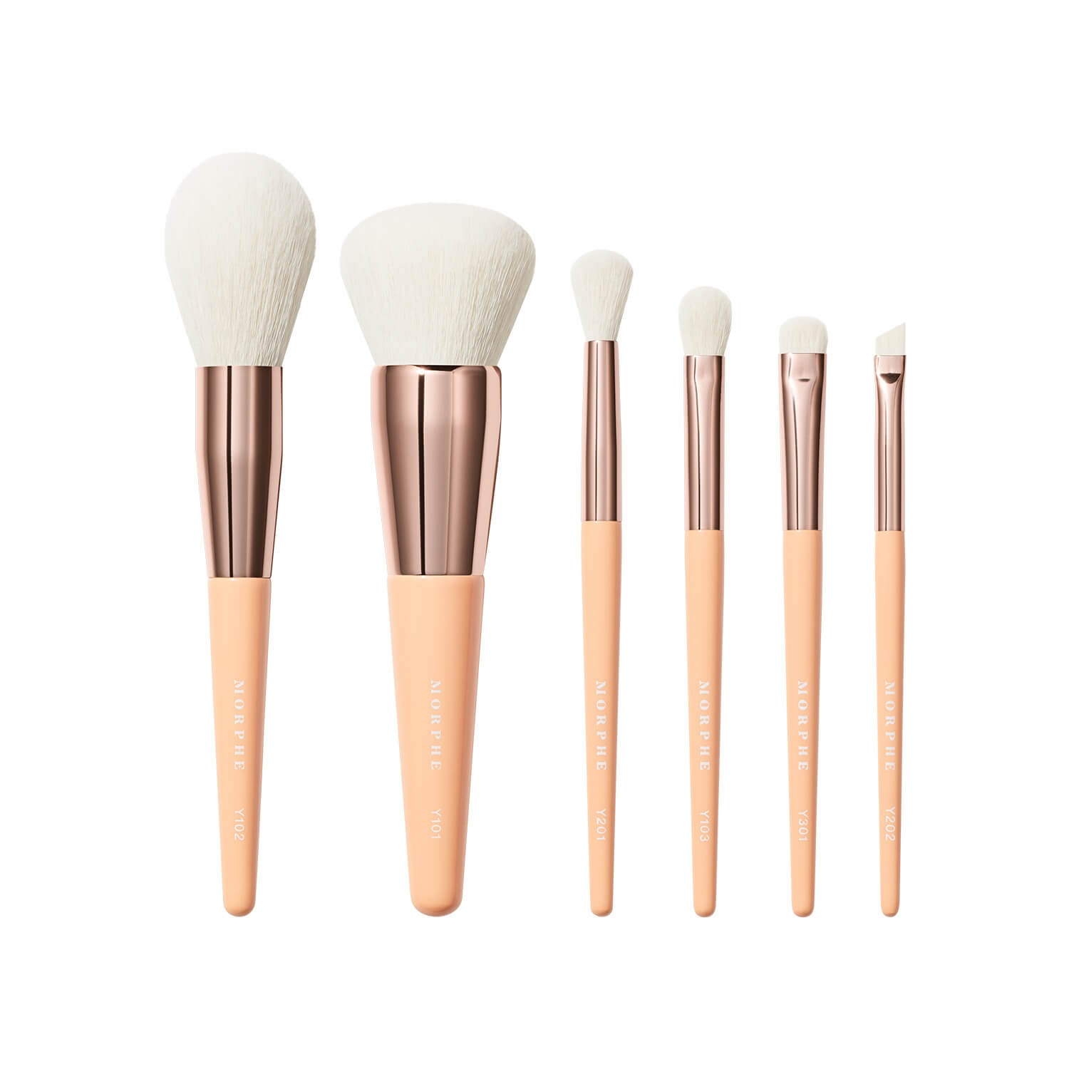 AURASCAPE 6 PIECE FACE EYE TRAVEL BRUSH SET SET DE BROCHAS DE